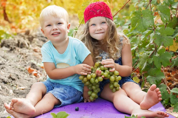 Childrens are holding buhch of green grapes