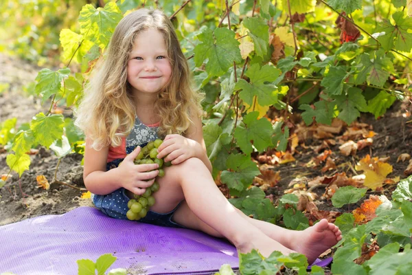 Blonde child girl with grapes burries in vineyard — Stock Photo, Image