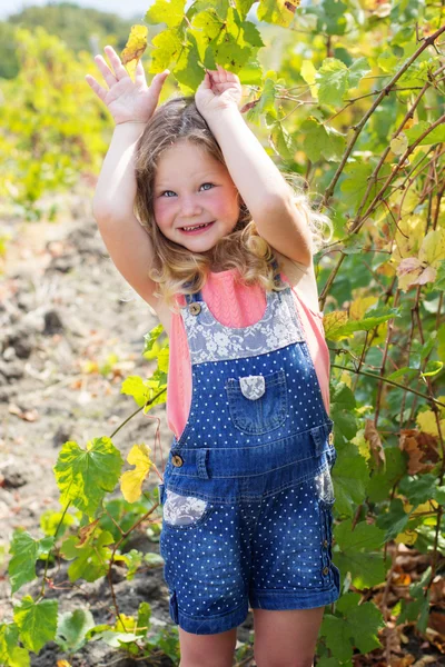 Child girl having fun in grape vineyard — Stock Photo, Image
