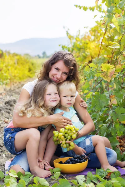 Family are holding buhch of grapes in vineyard — Stock Photo, Image