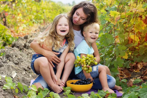 Familie plezier in druiven wijngaard — Stockfoto