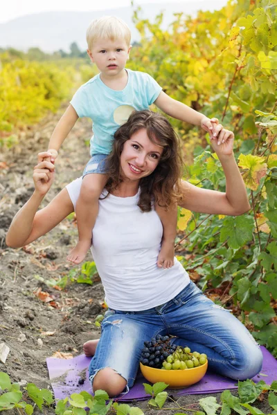 Moeder met zoon plezier in druiven wijngaard — Stockfoto