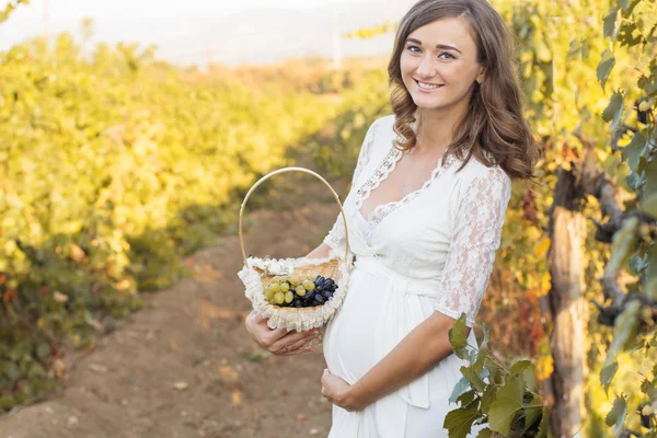 Femme enceinte avec panier de raisins dans le vignoble — Photo