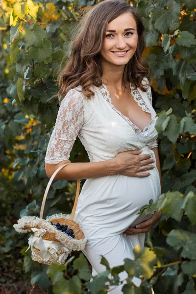 Pregnant woman with basket of grapes outdoors — Stock Photo, Image