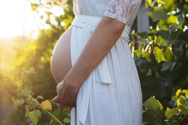 Живот беременной девушки в саду с виноградом — стоковое фото