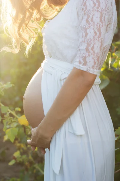 Vientre de la mujer embarazada en el jardín con uvas Fotos de stock libres de derechos