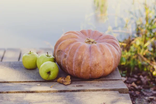 Pumpkin and green apples near lake — Stock Photo, Image