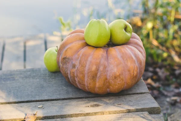 Pumpkin and green apples near lake, autumn — Stock Photo, Image