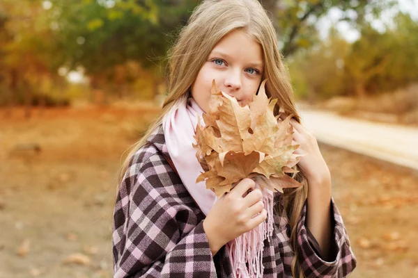 Cute girl is holding maple leaves near face — Stock Photo, Image