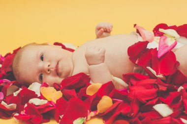 Bebek kız kırmızı ve pembe Gül yaprağı üzerinde yalan