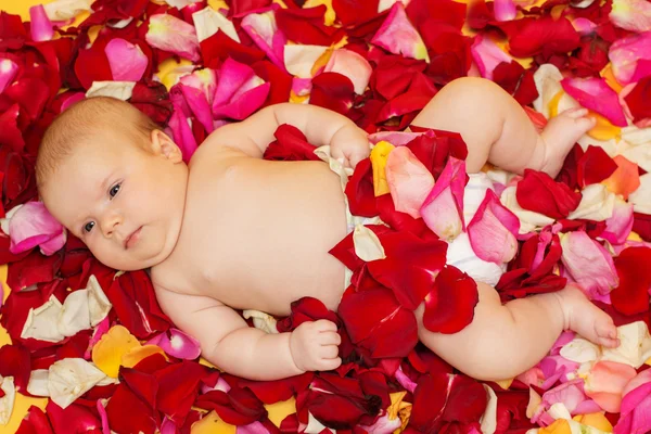 Infant girl lying on petal of red and pink roses