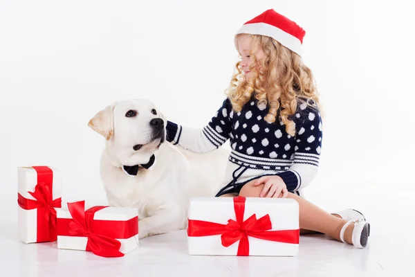 Girl and dog in studio isolated on white — Stock fotografie