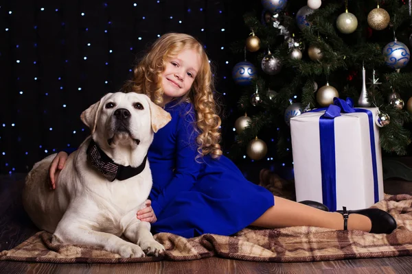 Dívka a pes spolu doma, koncept, Vánoce — Stock fotografie