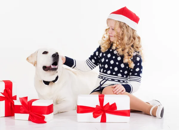 Menina bonita com cão estão sentados em estúdio — Fotografia de Stock