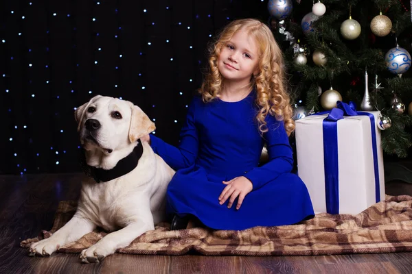 Girl and dog at home near christmas tree — Stock Photo, Image