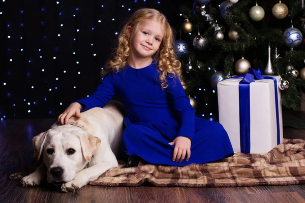 Dívka a pes spolu doma, koncept, Vánoce — Stock fotografie