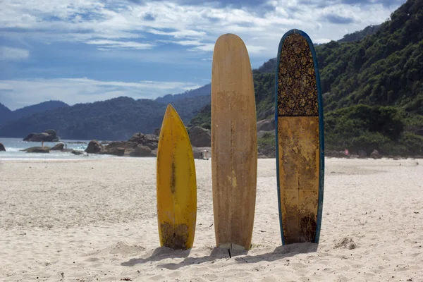 Доски для серфинга, стоящие прямо на ярком солнце на пляже, Бразилия — стоковое фото