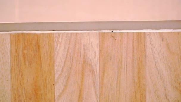 Close up of oak parquet Of beige color. Macroo video shift motion — Stock Footage Close up of oak parquet Of beige color. Macroo video shift motion Royalty Free Stock Video