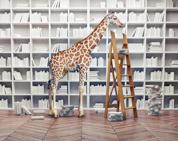 Jirafa bebé en la biblioteca — Foto de Stock