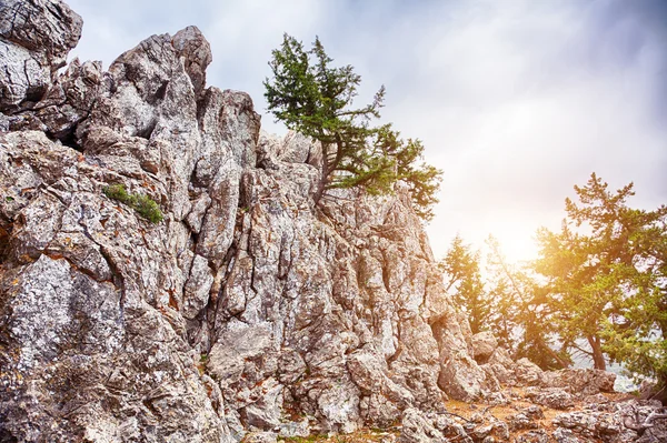 El acantilado de piedra — Foto de Stock