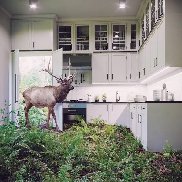 鹿は台所のインテリアに来る メディアミックスクリエイティブイラスト — ストック写真