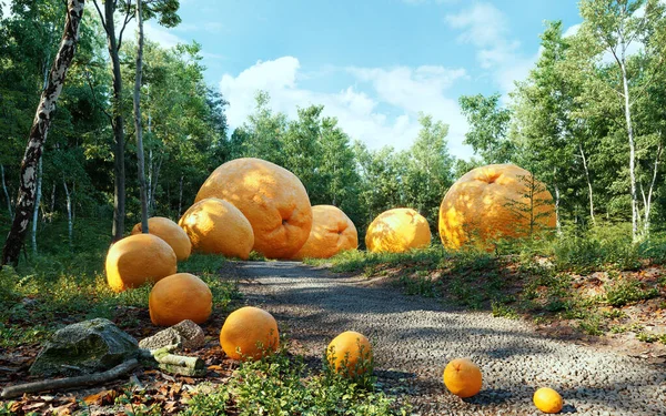 Des Oranges Géantes Dans Merveilleuse Forêt Photo Illustration Compilation — Photo