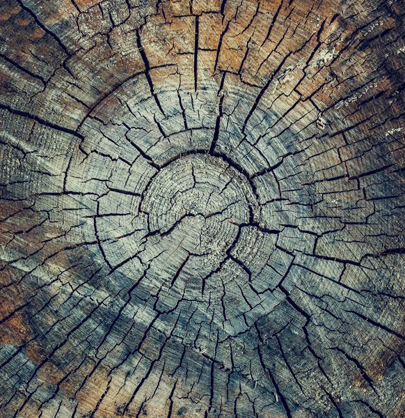 Crack struttura del legno — Foto Stock