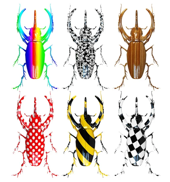 Escarabajos patrón — Foto de Stock
