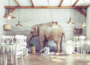 elephant calm in a restaurant interior clipart