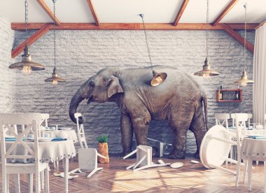 The elephant  in a restaurant clipart