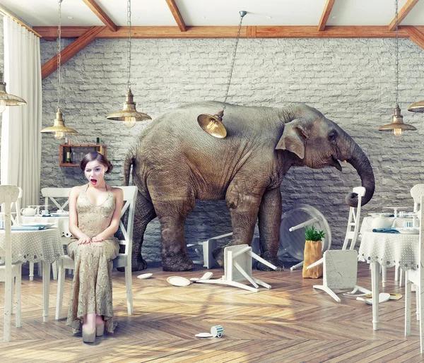 Elefante calma em um restaurante — Fotografia de Stock