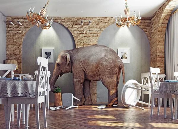 Um elefante calma no restaurante — Fotografia de Stock