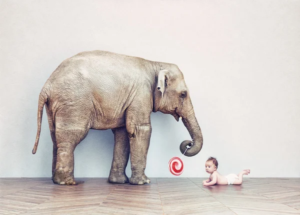 Bébé éléphant et bébé humain — Photo