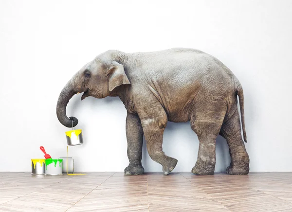 Elephant with paint cans — Stock Photo, Image
