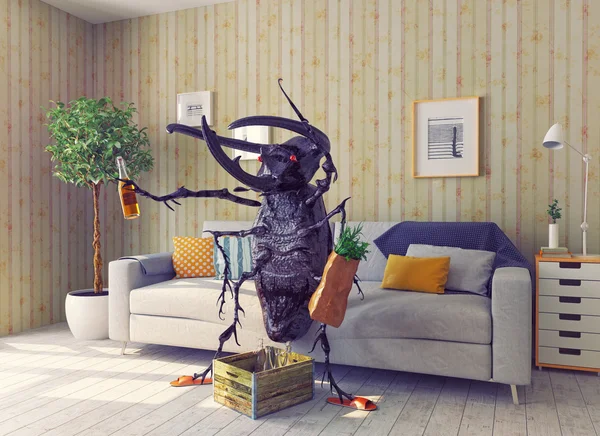 The beetle in the living room — Stock Photo, Image