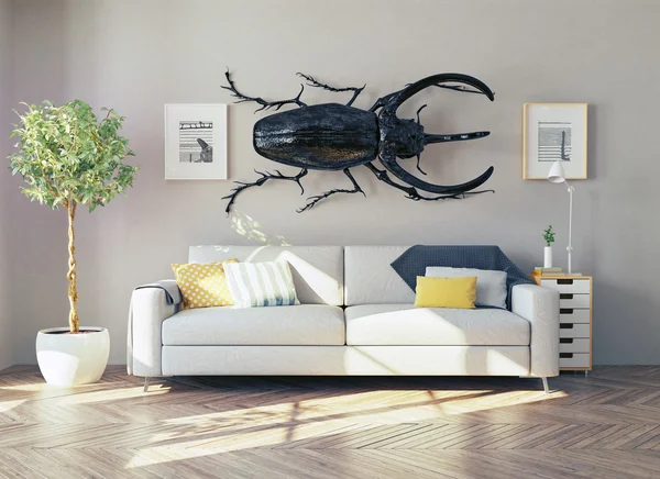 Le scarabée rhinocéros dans la chambre — Photo