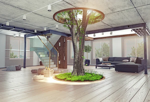 진짜 살아있는 나무 실내 개념 — 스톡 사진