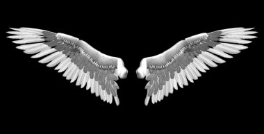 white wings 3D illustration