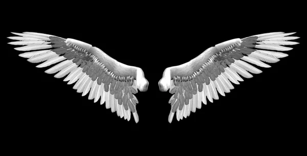 Άσπρα φτερά 3d απεικόνιση — Φωτογραφία Αρχείου