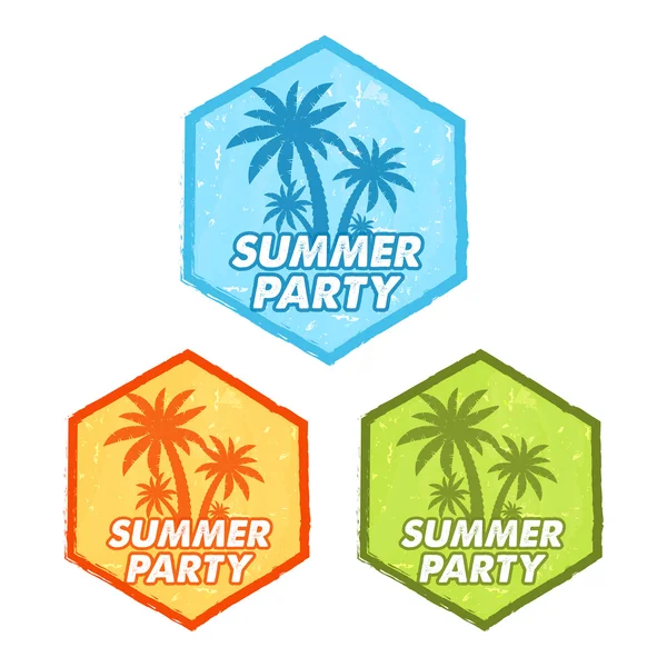 Festa de verão com sinal de palmas, grunge design plana hexágonos rótulos — Fotografia de Stock