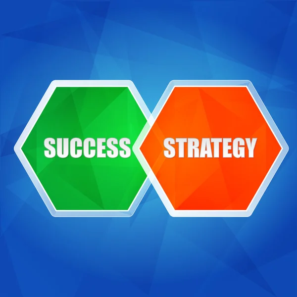 Success and strategy in hexagons, flat design, vector — Stock Vector