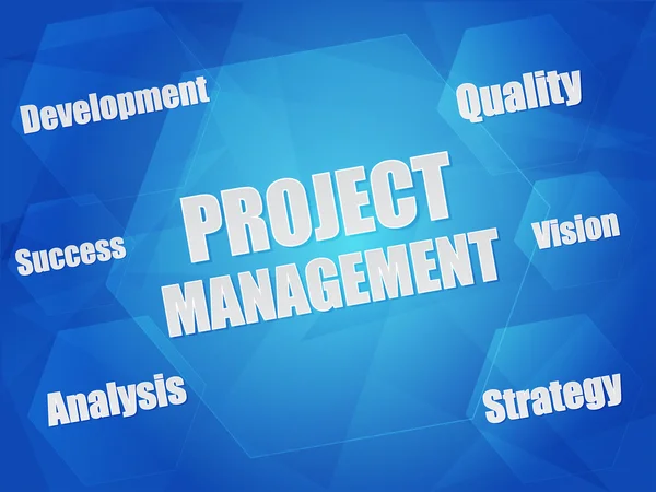 Project management e concetti di business parole in esagoni, vecto — Vettoriale Stock