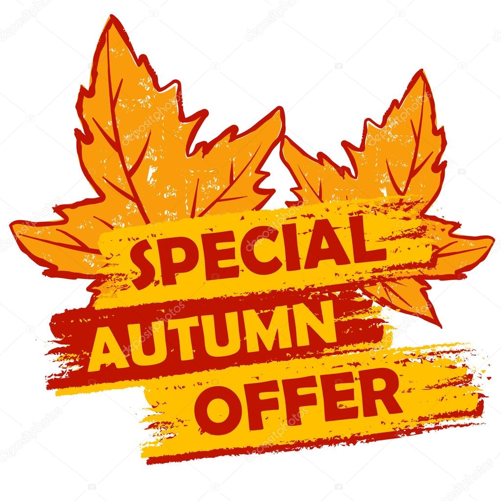 special autumn offer with leaves, orange and brown drawn label, 