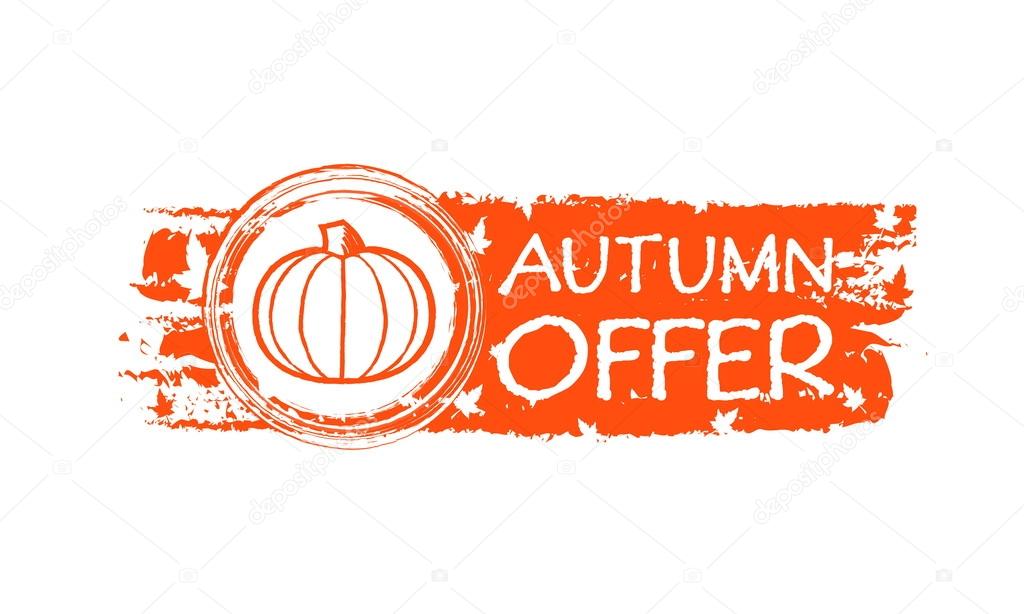 autumn offer drawn banner with pumpkin and fall leaves, vector