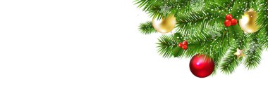 Noel ağacı sınırı ve beyaz arkaplan
