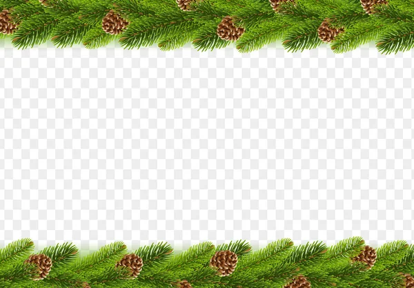 Spruce Branches With Cones Border With Transparent Background — Stock Vector