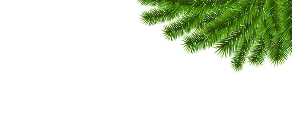 Frontera verde del árbol del abeto y fondo blanco — Vector de stock