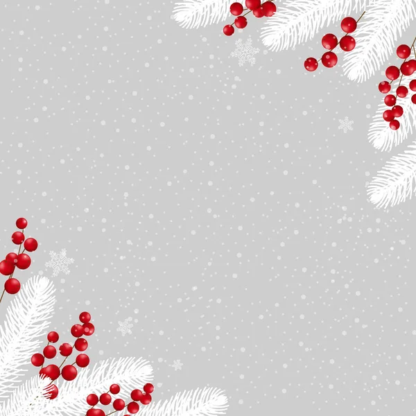 Frontera de nieve con Holly Berry fondo blanco — Vector de stock