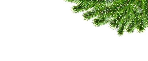 Bordo dell'albero di abete con neve e sfondo bianco — Vettoriale Stock