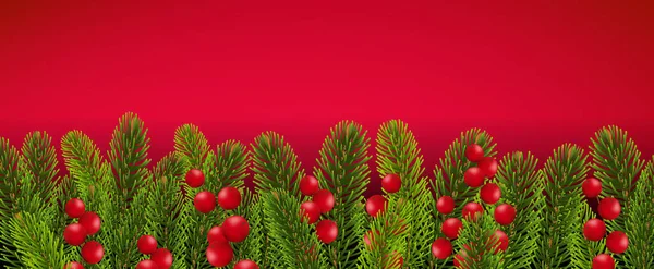 Fir träd gräns med Holly bär röd bakgrund — Stock vektor